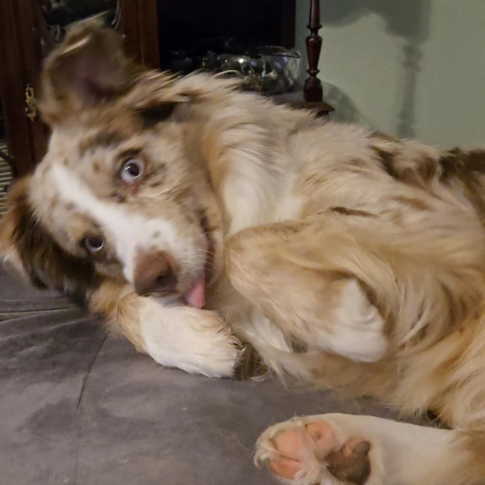 🤗LIVE POP UP🔥 - Picture 5 of 9